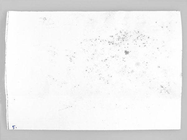 Kim Engelen, De Bokkepruik (The Bucks Wig) No.5, Drawing, Ecoline, Indian-ink, Backside, 2021