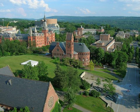 Bild från Cornell University.