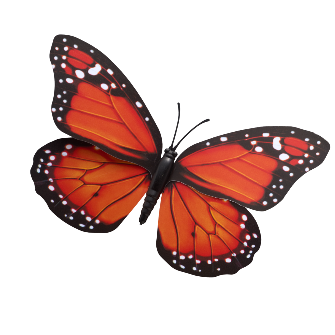 Oranje vlinder