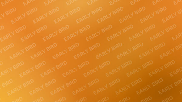 3 månader EARLY BIRD