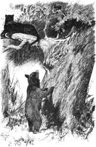 Viidakkopoika-teoksen englanninkielisen painoksen kuvitusta vuodelta 1894.