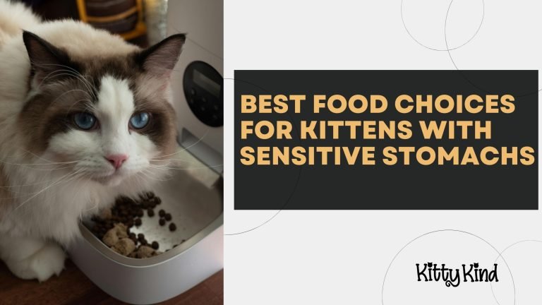 Best Food Choices for Kittens with Sensitive Stomachs