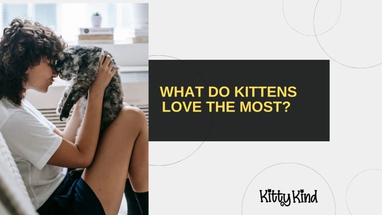 What Do Kittens Love the Most