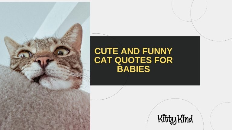 Cute and Funny Cat Quotes for Babies