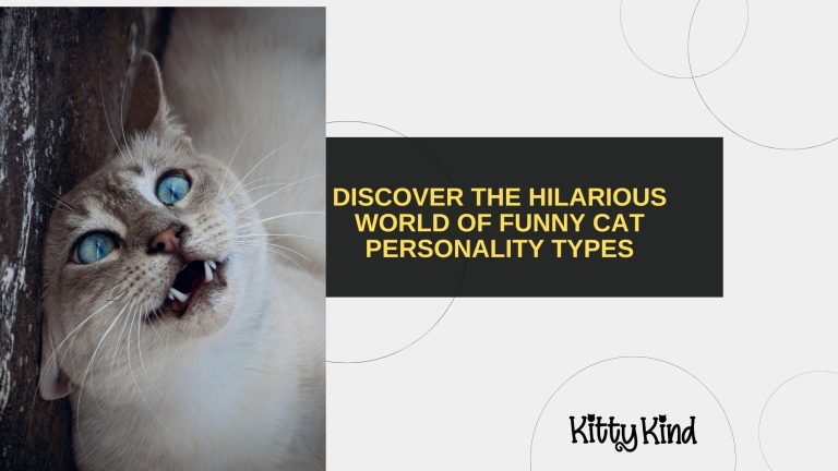 Discover the Hilarious World of Funny Cat Personality Types