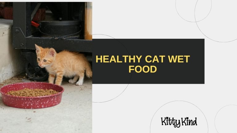 Healthy Cat Wet Food