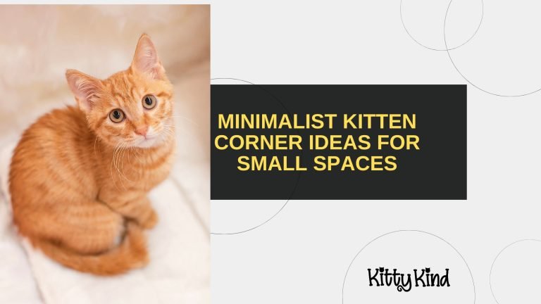 Minimalist Kitten Corner Ideas for Small Spaces