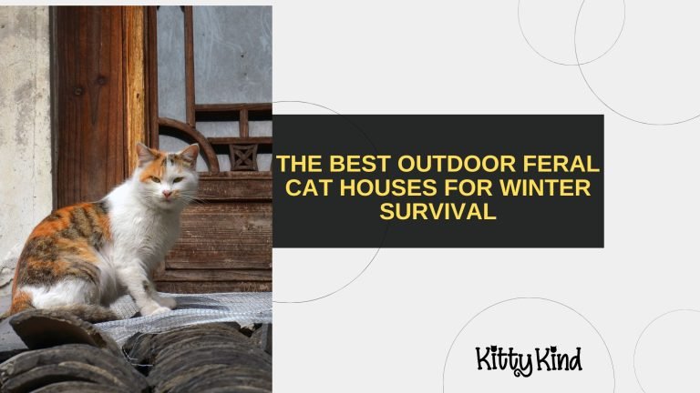 The Best Outdoor Feral Cat Houses for Winter Survival