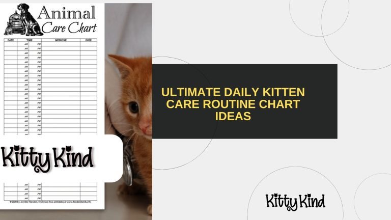 Ultimate Daily Kitten Care Routine Chart Ideas