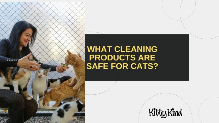 What Cleaning Products Are Safe for Cats