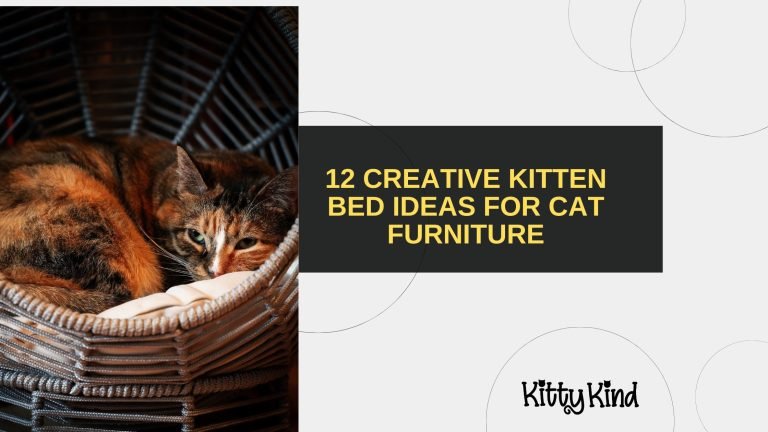 12 Creative Kitten Bed Ideas for Cat Furniture