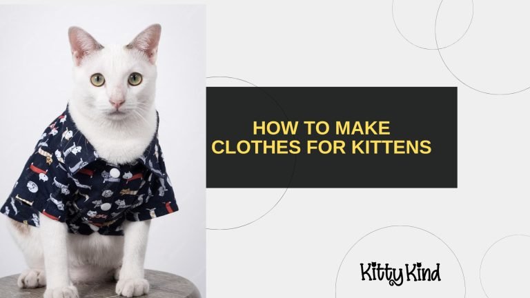 How to Make Clothes for Kittens