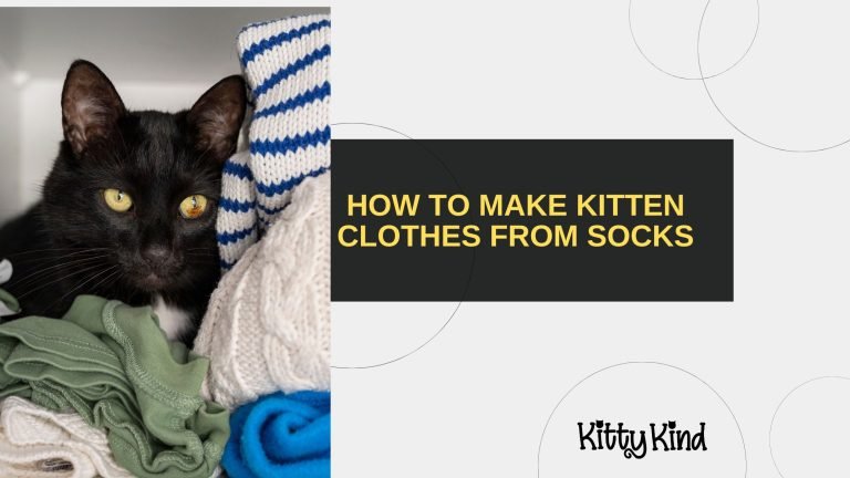 How to Make Kitten Clothes from Socks