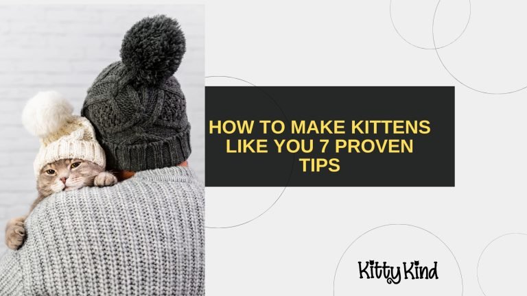 How to Make Kittens Like You 7 Proven Tips