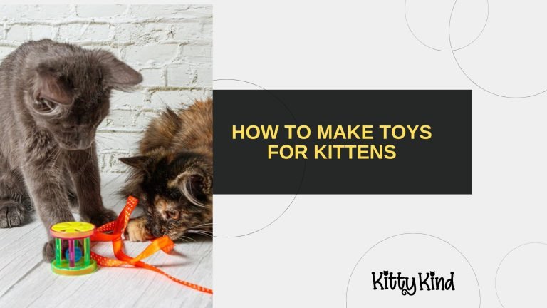 How to Make Toys for Kittens
