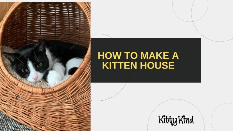 How to Make a Kitten House