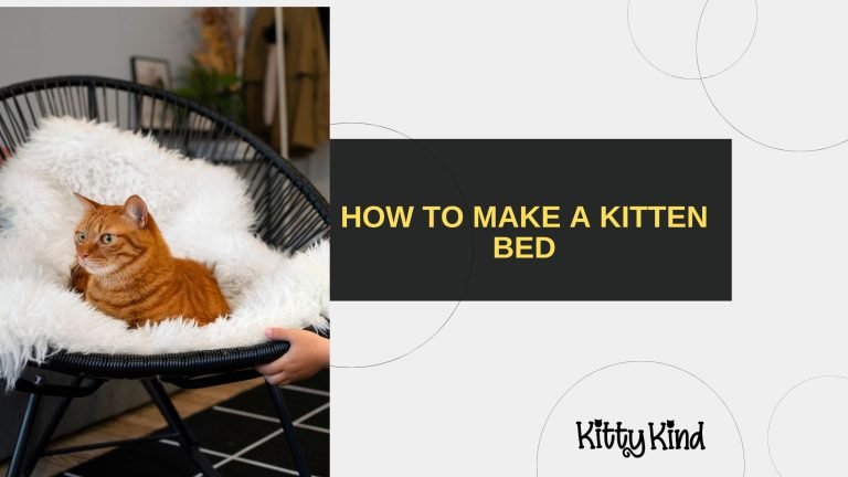 How to Make a kitten Bed