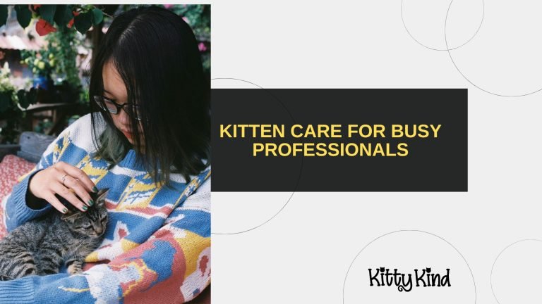 Kitten Care for Busy Professionals