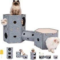 Large Cat House