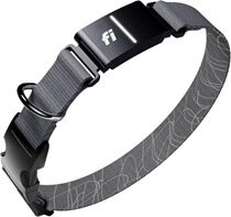 New Fi Series 3+ Smart Dog Tracker Collar