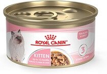 Royal Canin Feline Health Nutrition