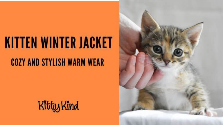Kitten Winter Jacket