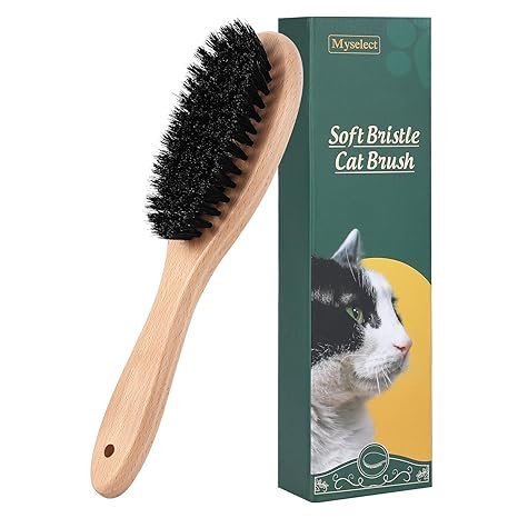 Boar Bristle Cat Brush
