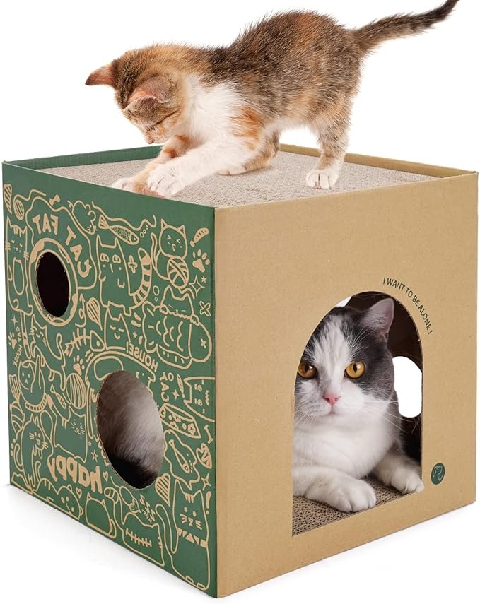 Cardboard Cat House