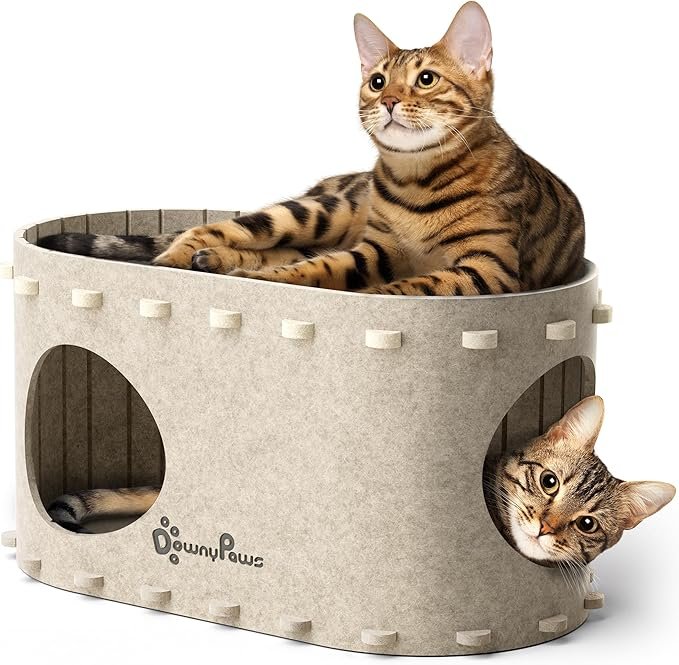 Downy Paws Cat House