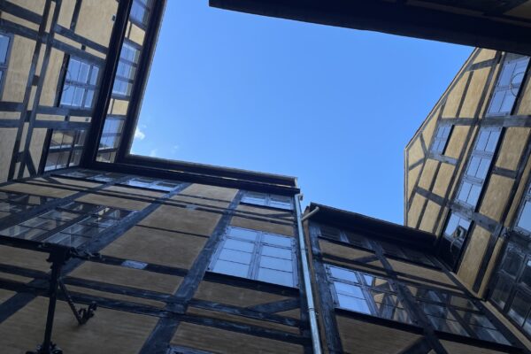 IMG_1661 IMG_1661