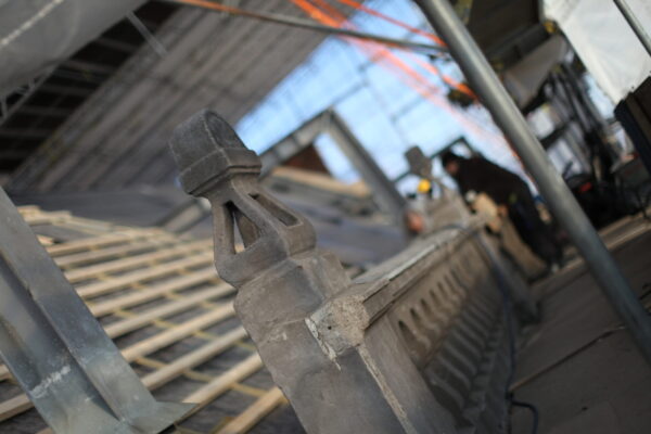 IMG_5460 IMG_5460