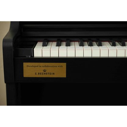 Casio AP-750 Bechstein