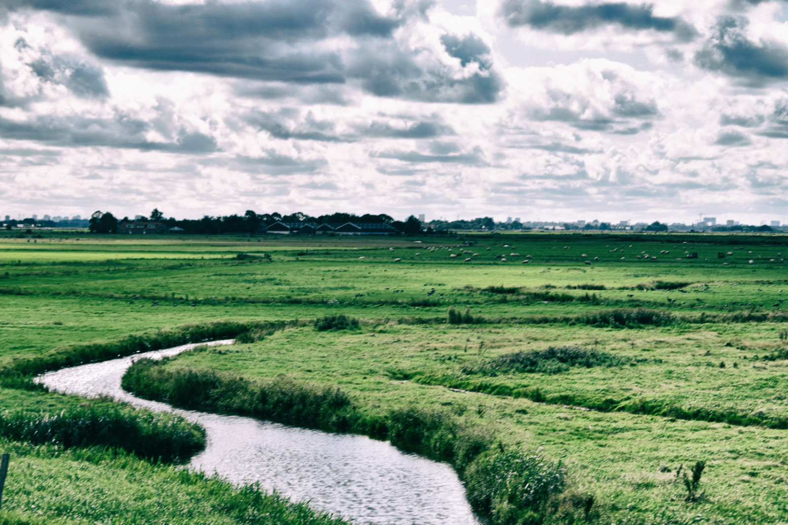 Alleen de lucht boven ons in het Nederlandse polderlandschap