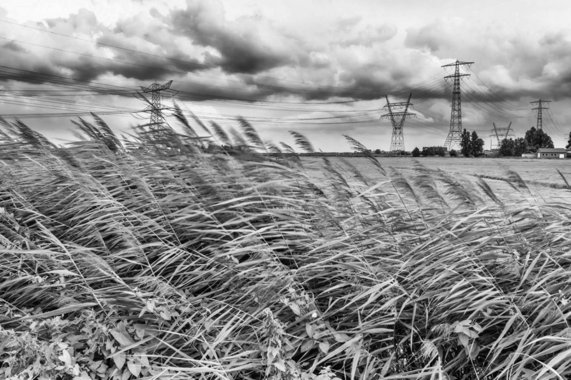 unieke landschap fototour geïnspireerd door de beroemde Nederlandse schrijver Nescio zwart wit