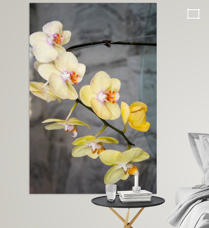 Yellow orchids on black and white background