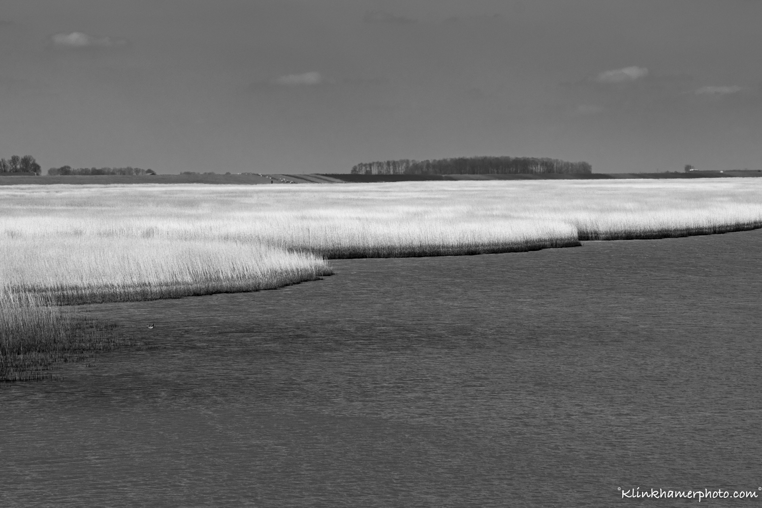 Dollard Rietlanden_Nieuw Statenzeil