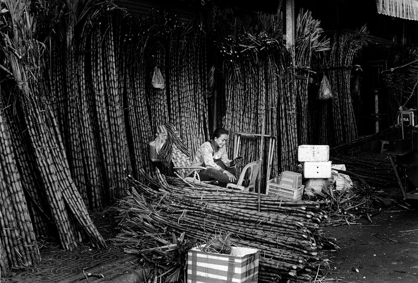 Phnom Penh sugar cane market seller 2023