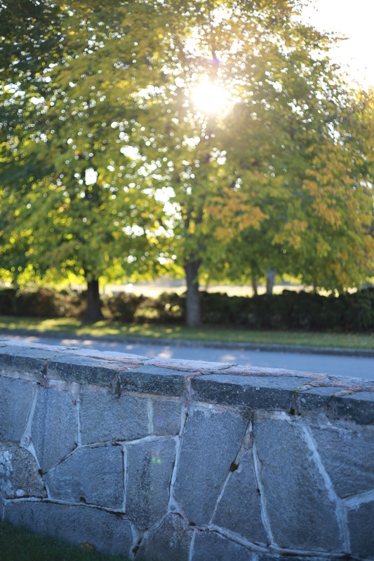 Mur