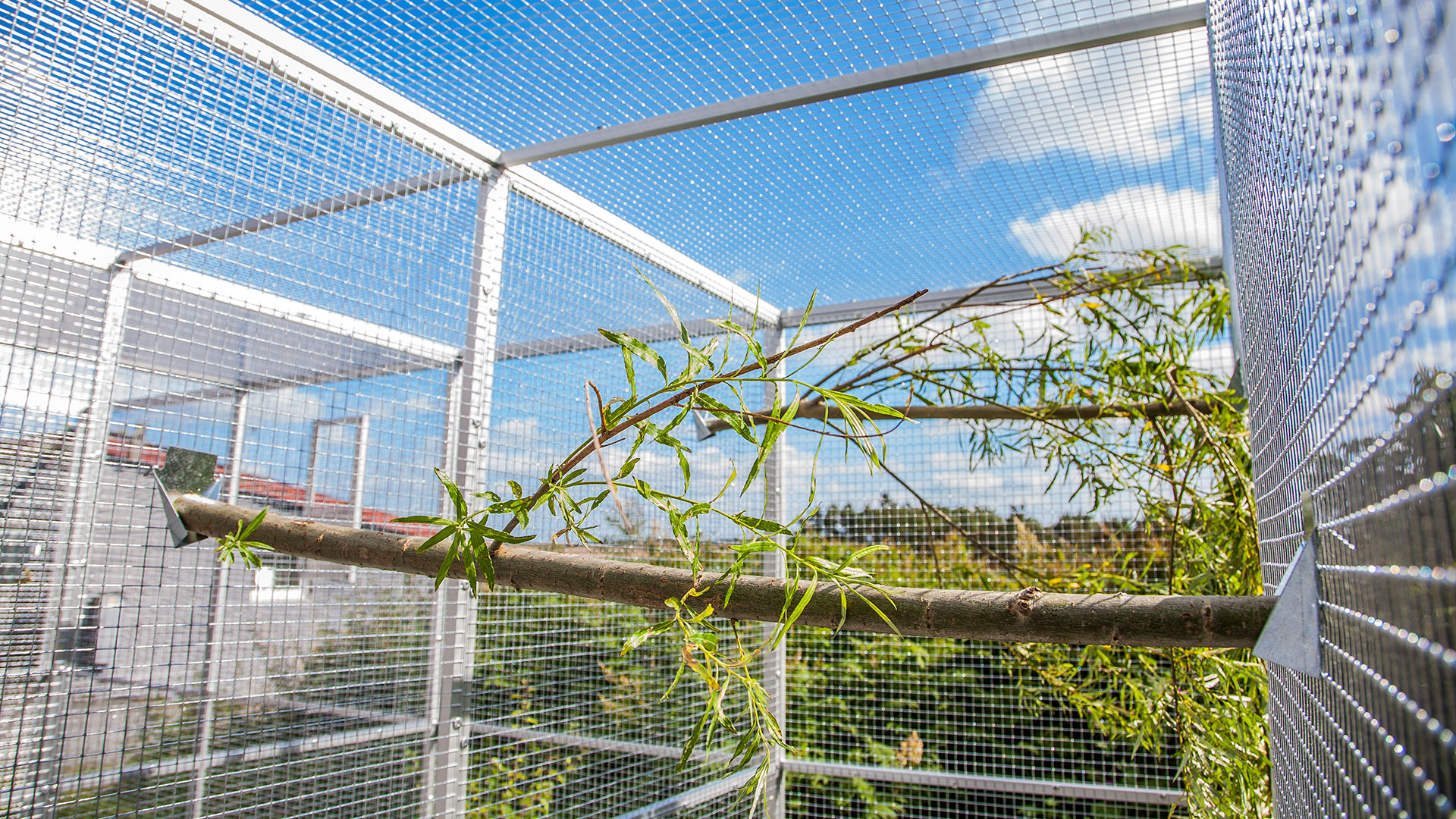 Volière de jardin de 2m2 avec 3 panneaux coupe-vent IMOR®