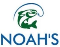 Noah's