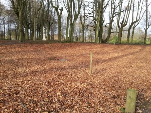 Begraven van asurn in urnenbos