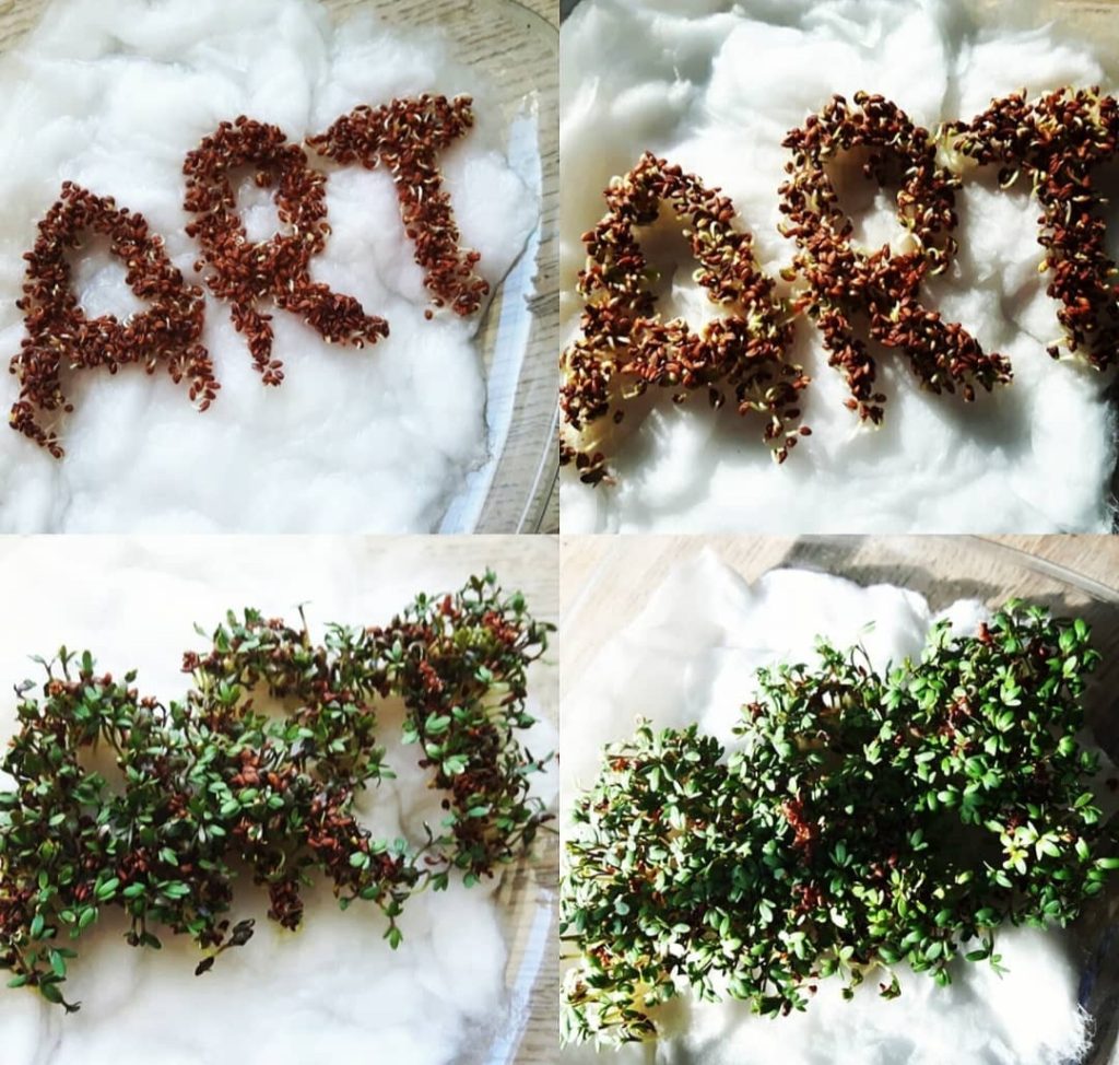 art 13