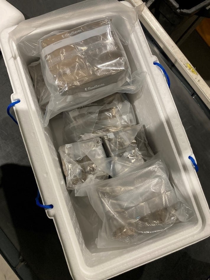 hash1 hash1
