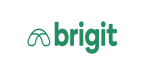 Bigit Logo