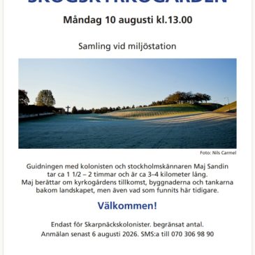 Studiegruppen 10 aug