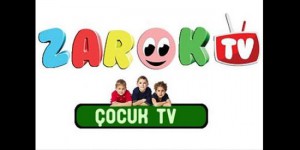 ilk_kurtce_cocuk_kanali_zarok_tv_21_mart_ta_yayinda_h46394_7a181