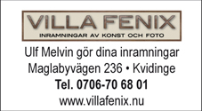 villa_fenix_web_2017