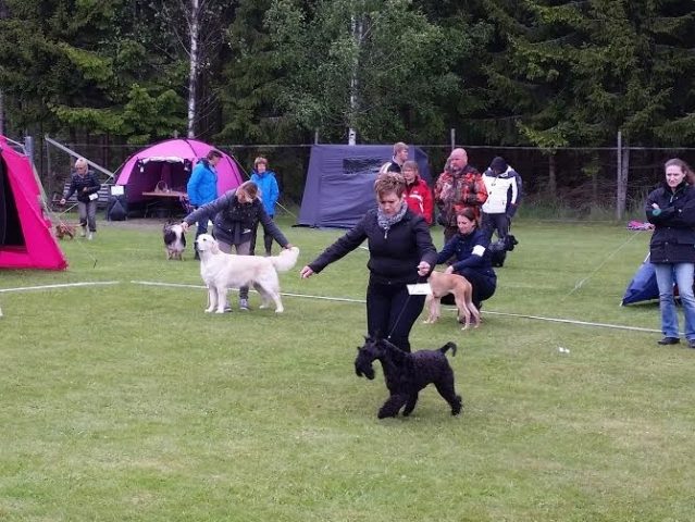 Läs mer om artikeln Söndagsaktivitet 15 maj