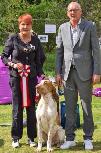 Läs mer om artikeln Best in Show 22 maj