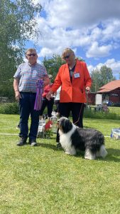 Läs mer om artikeln BIS-Veteran BIS-1 Sjöhemmets Queen Caroline